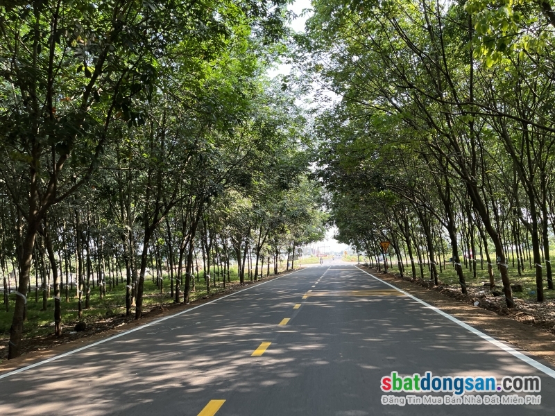 BÁN ĐẤT VIEW HỒ TRỊ AN – TUYỆT PHẨM NGHỈ DƯỠNG & KHAI THÁC DU LỊCH