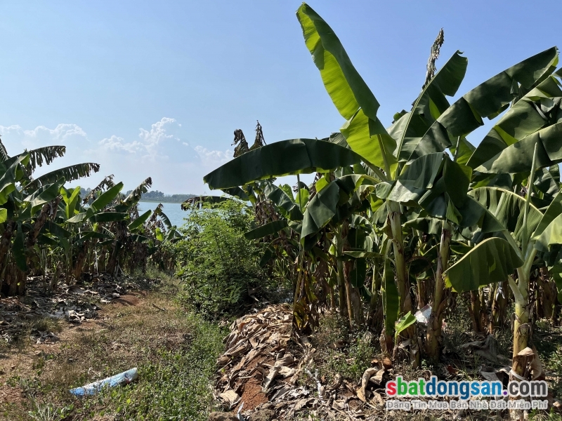 BÁN ĐẤT VIEW HỒ TRỊ AN – TUYỆT PHẨM NGHỈ DƯỠNG & KHAI THÁC DU LỊCH
