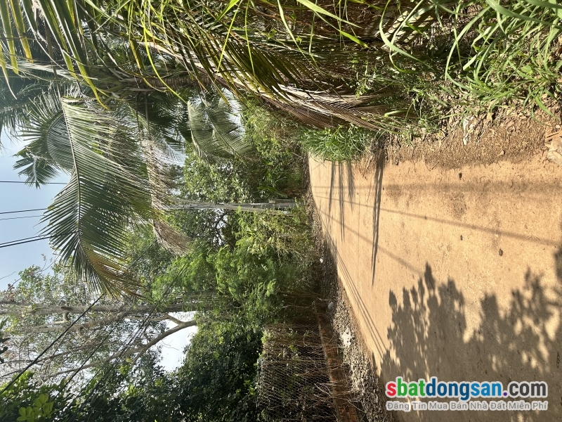 Cô em gửi bán dùm lô đất vườn tại La Ngà – Định Quán giá rẻ 400tr/1000m2
